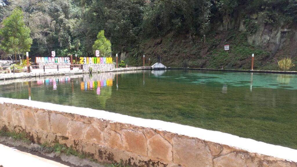 ÁRBOL CAE EN MANANTIALES Y REPERCUTE EN SERVICIO DE AGUA, EN TEZIUTLÁN