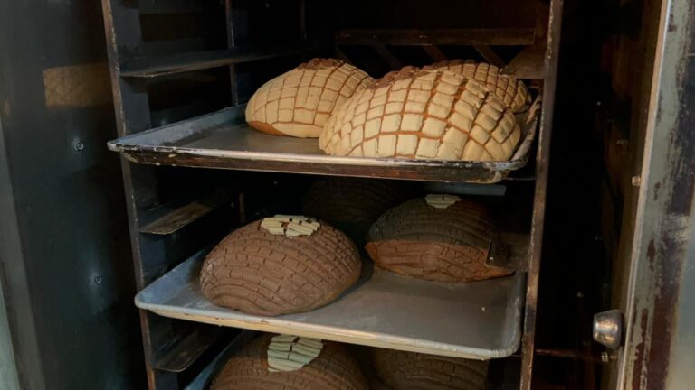 PANADERÍAS DE TEZIUTLÁN SON SUPERVISADAS POR PROTECCIÓN CIVIL EN ESTA TEMPORADA