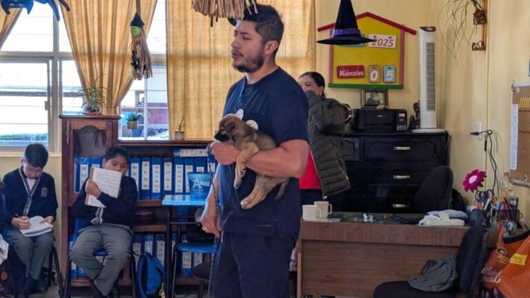 VALORAR EL OBSEQUIO DE MASCOTAS DURANTE ESTA ÉPOCA, EVITARÁ ABANDONO Y MALTRATO ANIMAL