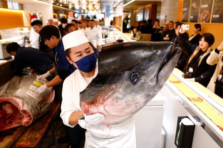 Japón rompe récord al subastar el atún más caro del mundo en 3 millones 280 mil dólares.