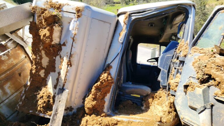 CAMIÓN QUE TRANSPORTABA BLOCK SE ACCIDENTA EN ARCO SUR
