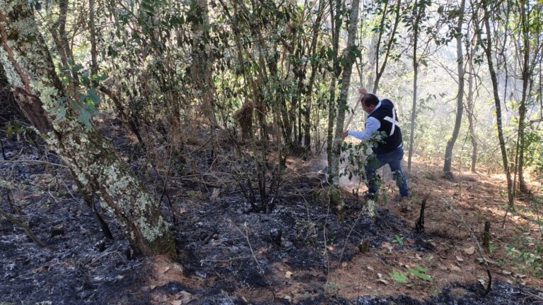 PRIMER INCENDIO FORESTAL EN CERRO DE CHIGNAUTLA ARRASA CON SIETE HECTÁREAS DE MATERIAL ARBUSTIVO Y HERBÁCEO