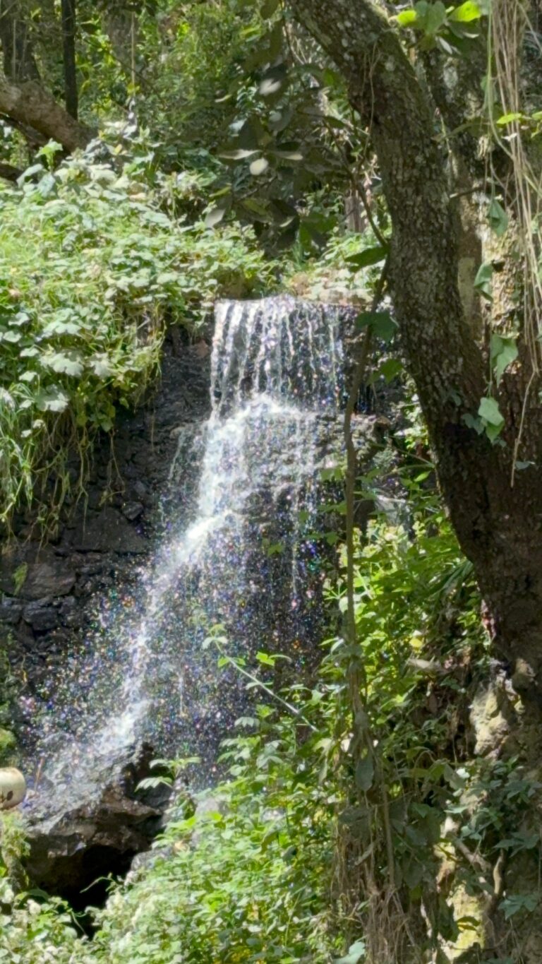 Impulsan proyecto de captación de agua en Xoloco para fortalecer el suministro y enfrentar el estiaje
