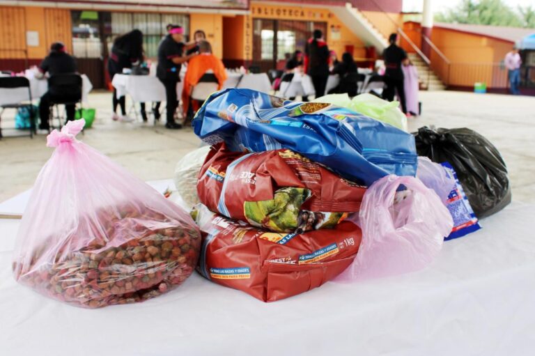 Realizan colecta “Un Amor Crocástico” en escuela de Xiutetelco