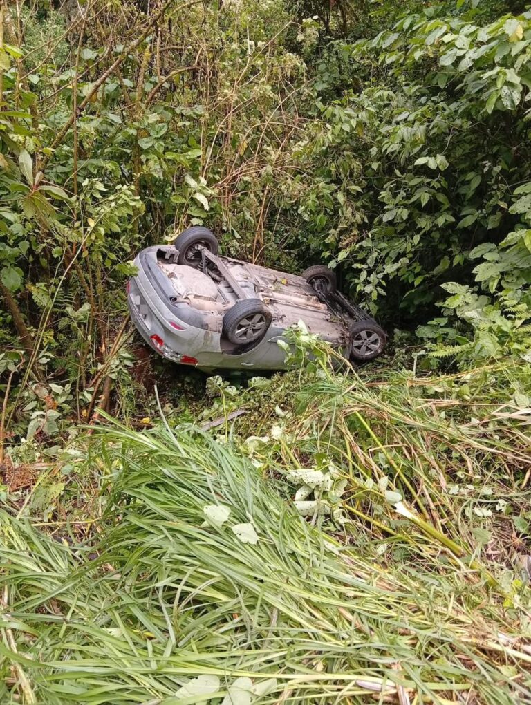 Vehículo cae a barranca y conductor sobrevive sin lesiones