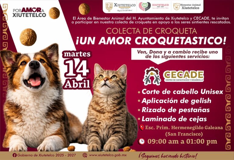 Promueven colecta de croquetas para animales rescatados en Xiutetelco con jornada solidaria de servicios