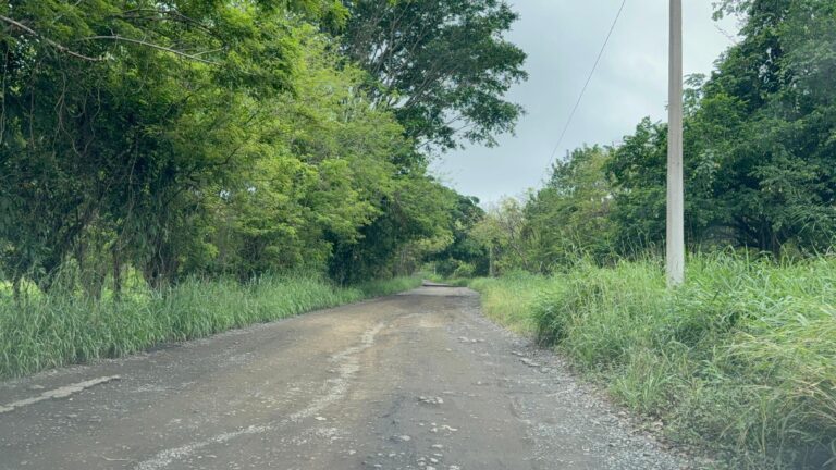 LA PARRILLA–INSURGENTES, ENTRE EL DETERIORO Y PROMESAS DE REHABILITACIÓN
