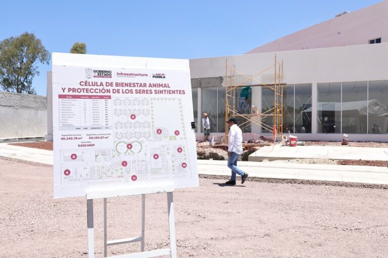 EN PUEBLA, AVANZA LA PRIMERA CÉLULA DE BIENESTAR ANIMAL