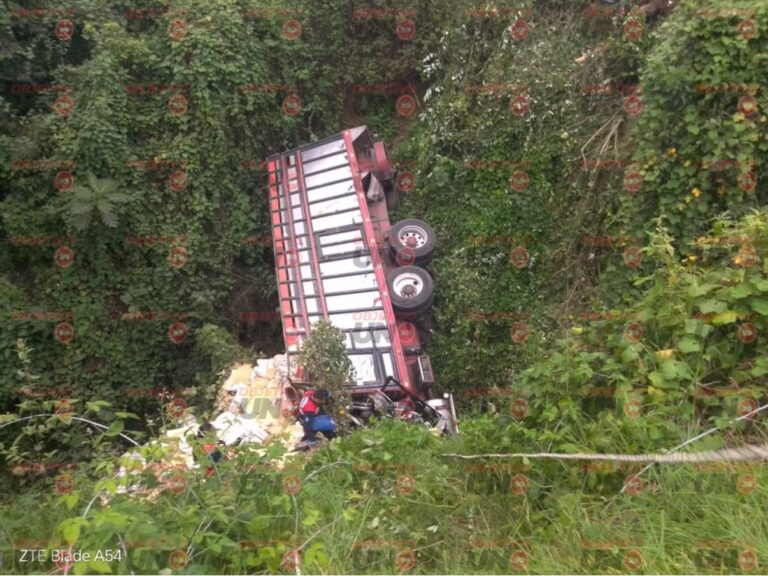 APARENTE FALLA EN LOS FRENOS PROVOCA QUE CAMIÓN TERMINE EN UN BARRANCO EN CHIGNAUTLA
