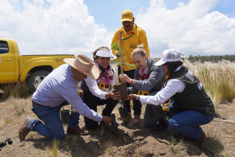 Siembran 4 mil 500 plantas de maguey y pino en jornada de reforestación en Xiutetelco